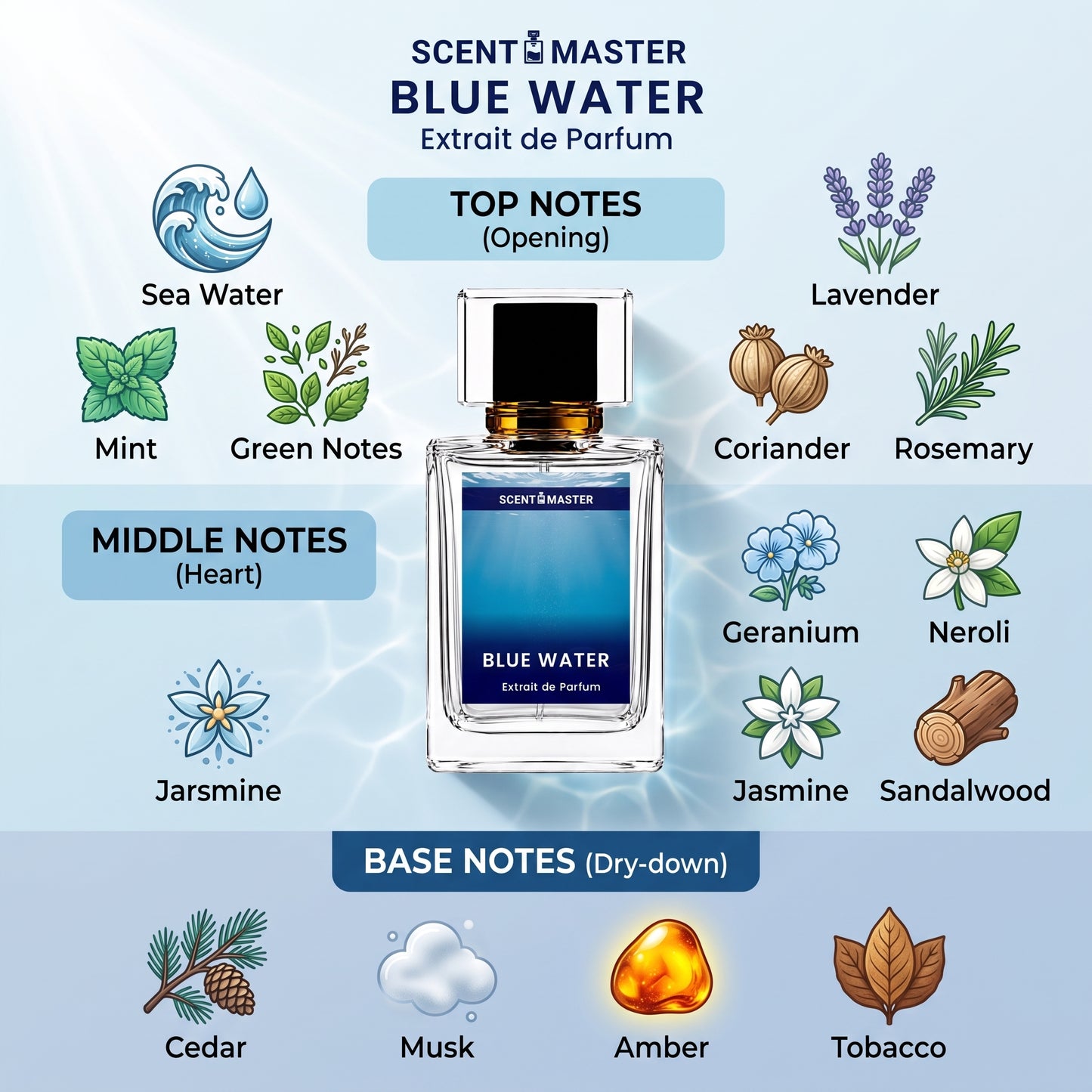 Blue Water Perfume Fragrance Notes Infographic