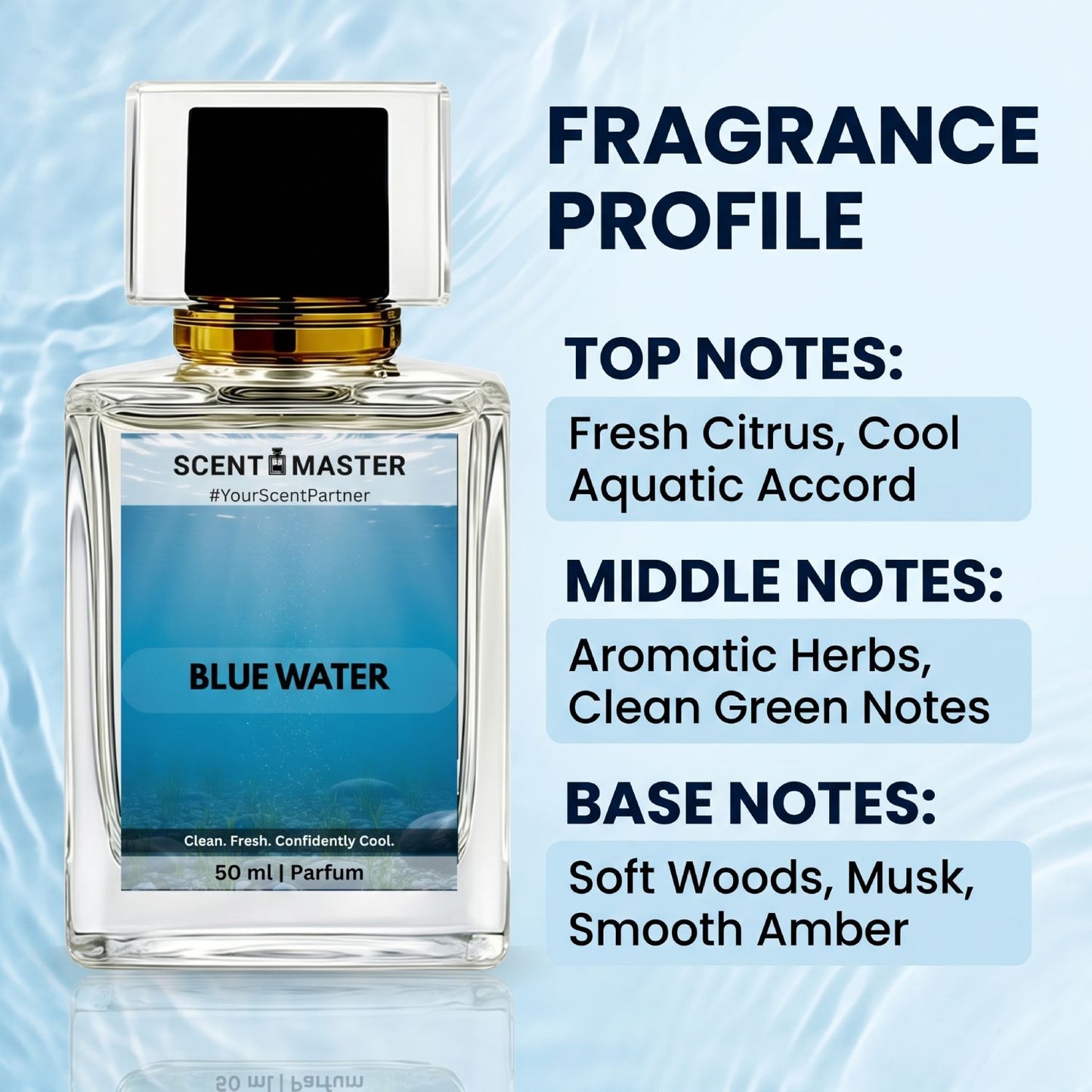 Blue Water by Scent Master fresh aquatic perfume notes infographic showing citrus, aquatic, herbs, green notes, woods, musk and amber
