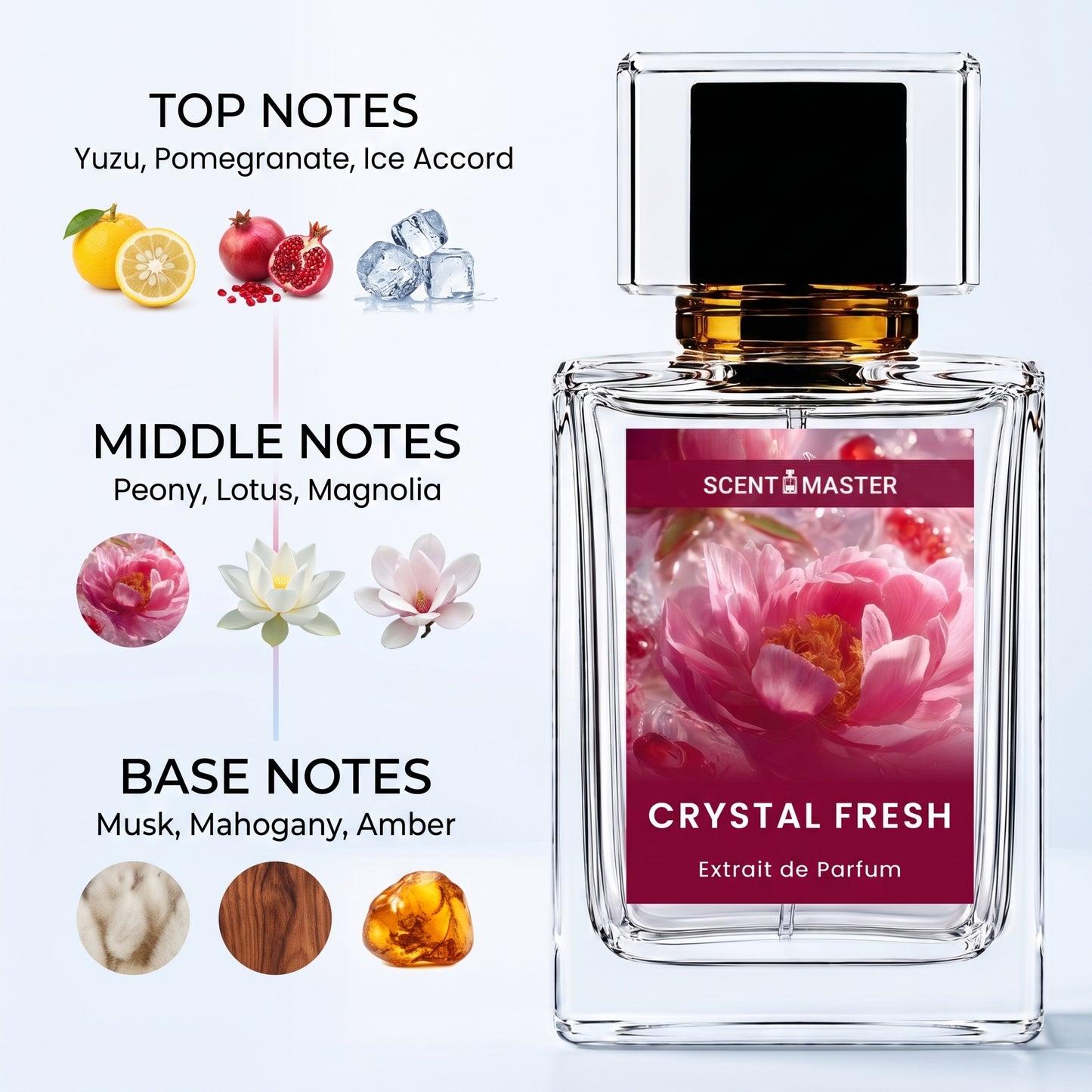Crystal Fresh perfume fragrance notes infographic showing top, middle, and base notes