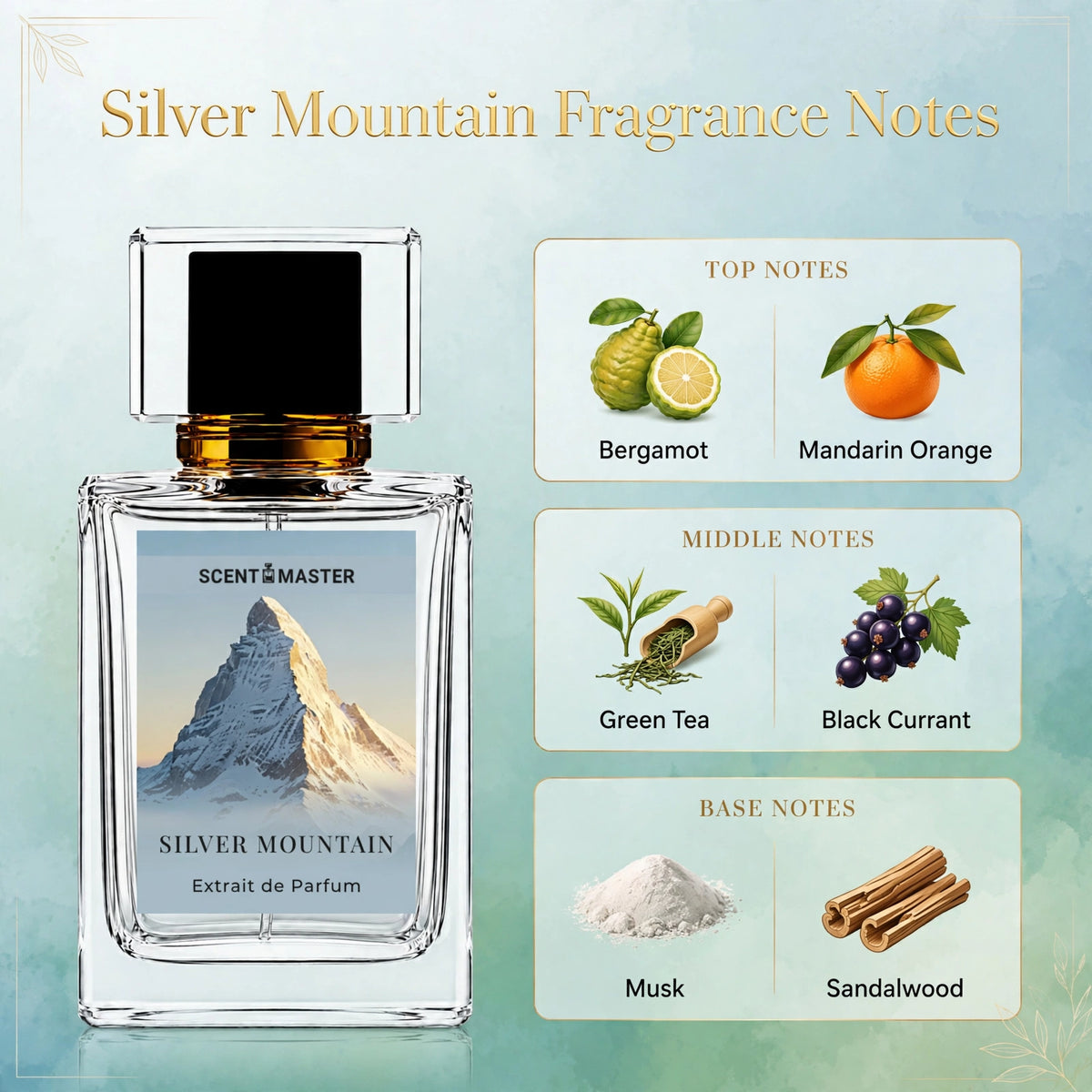 Silver Mountain fragrance notes infographic showing bergamot, green tea, and musk