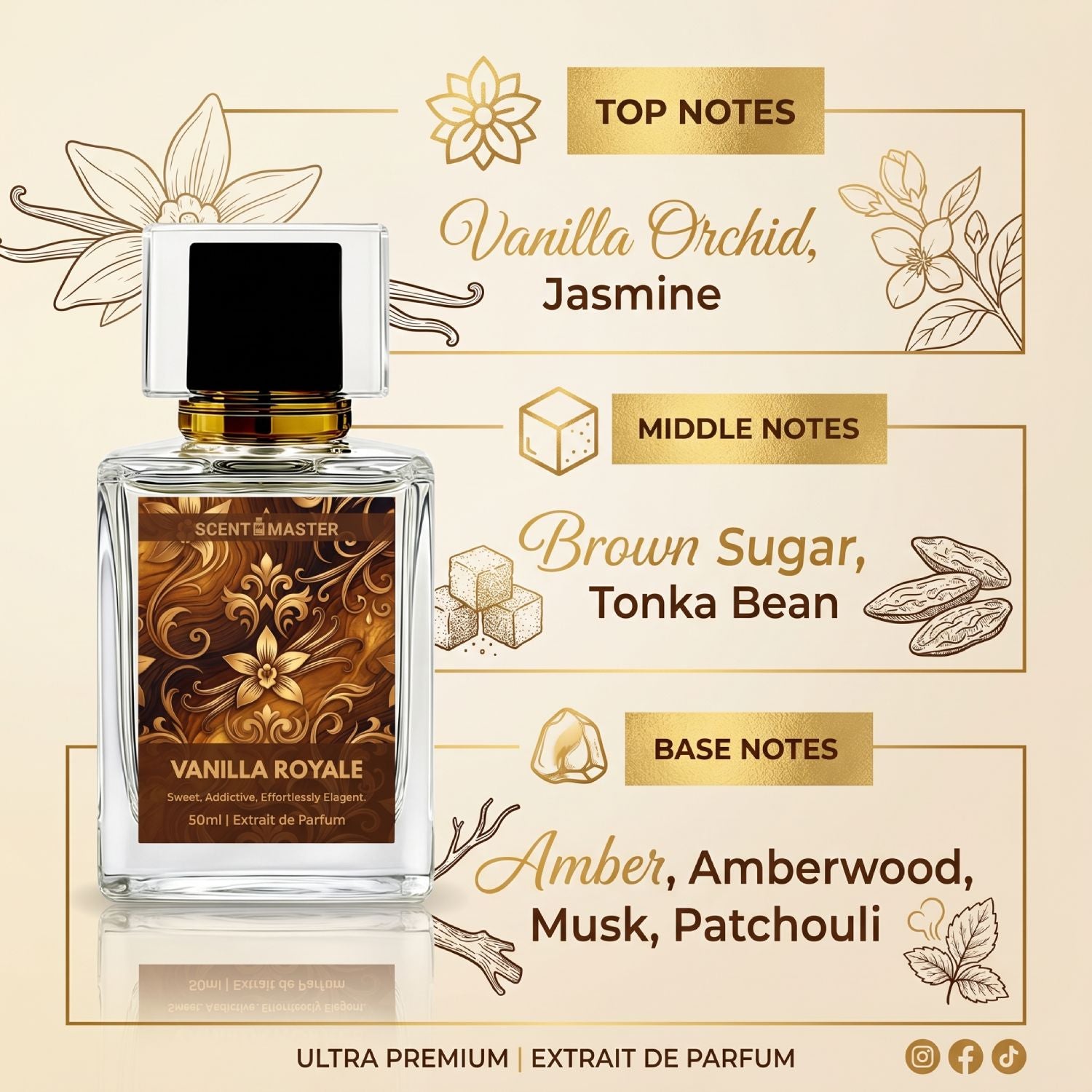 Vanilla Royale fragrance notes infographic featuring vanilla orchid jasmine brown sugar tonka bean amber amberwood musk and patchouli.