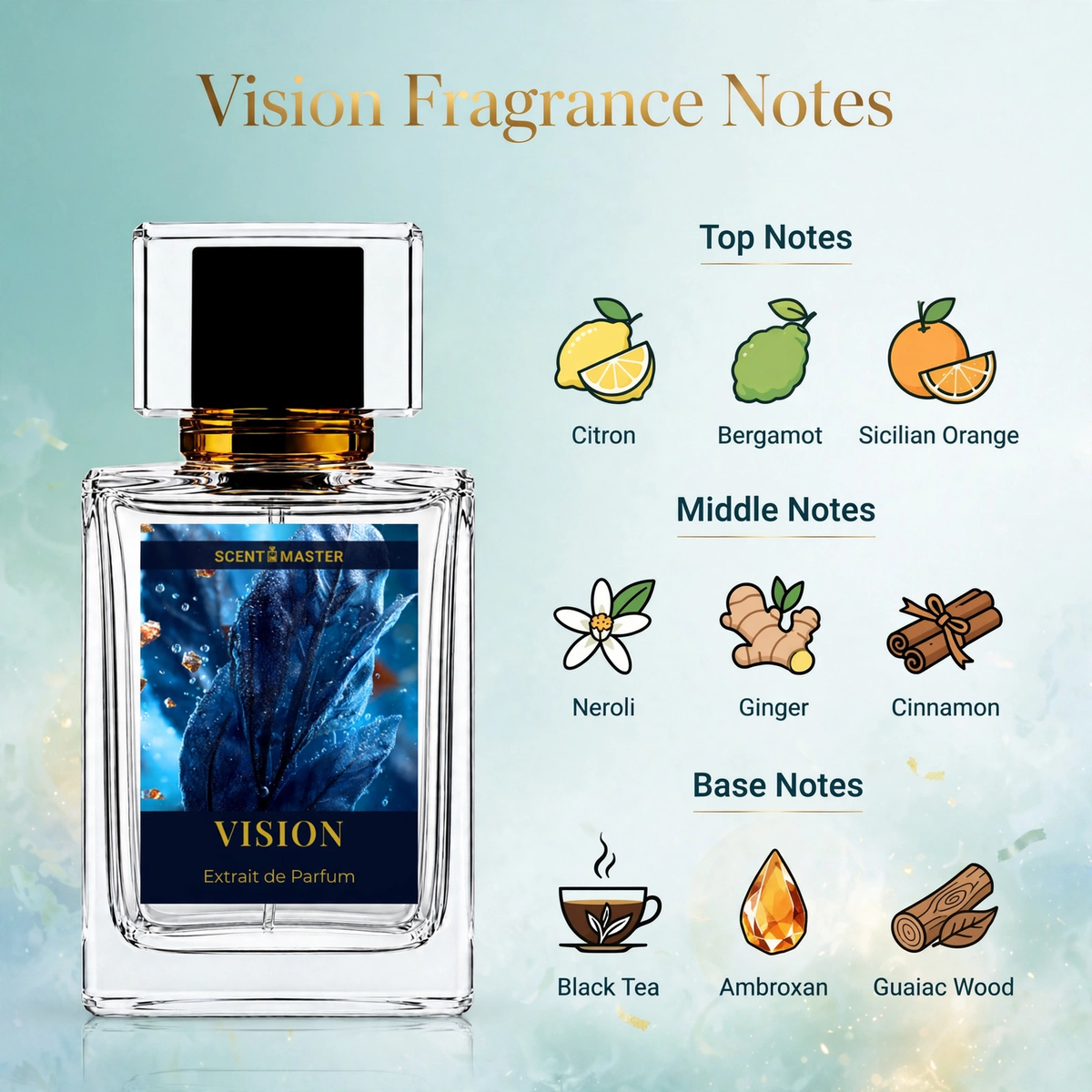 Vision perfume fragrance notes infographic showing top, middle, and base notes