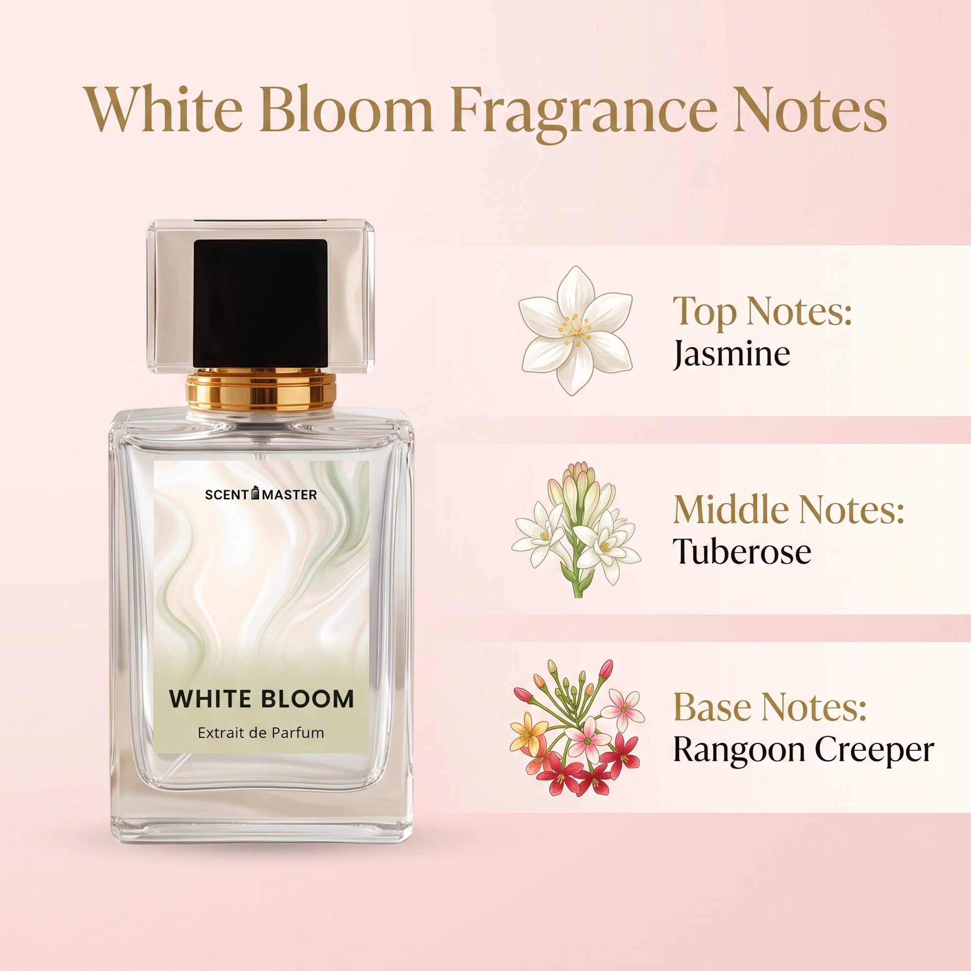 White Bloom fragrance notes infographic showing jasmine, tuberose, and rangoon creeper