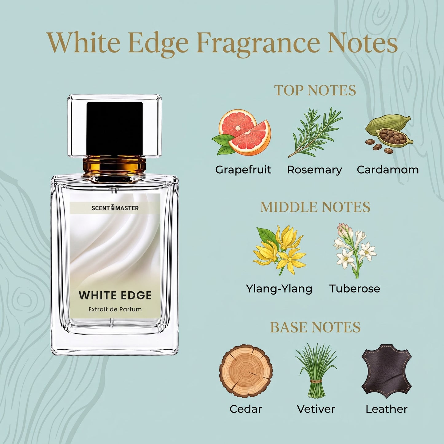 White Edge fragrance notes infographic showing top, middle, and base notes