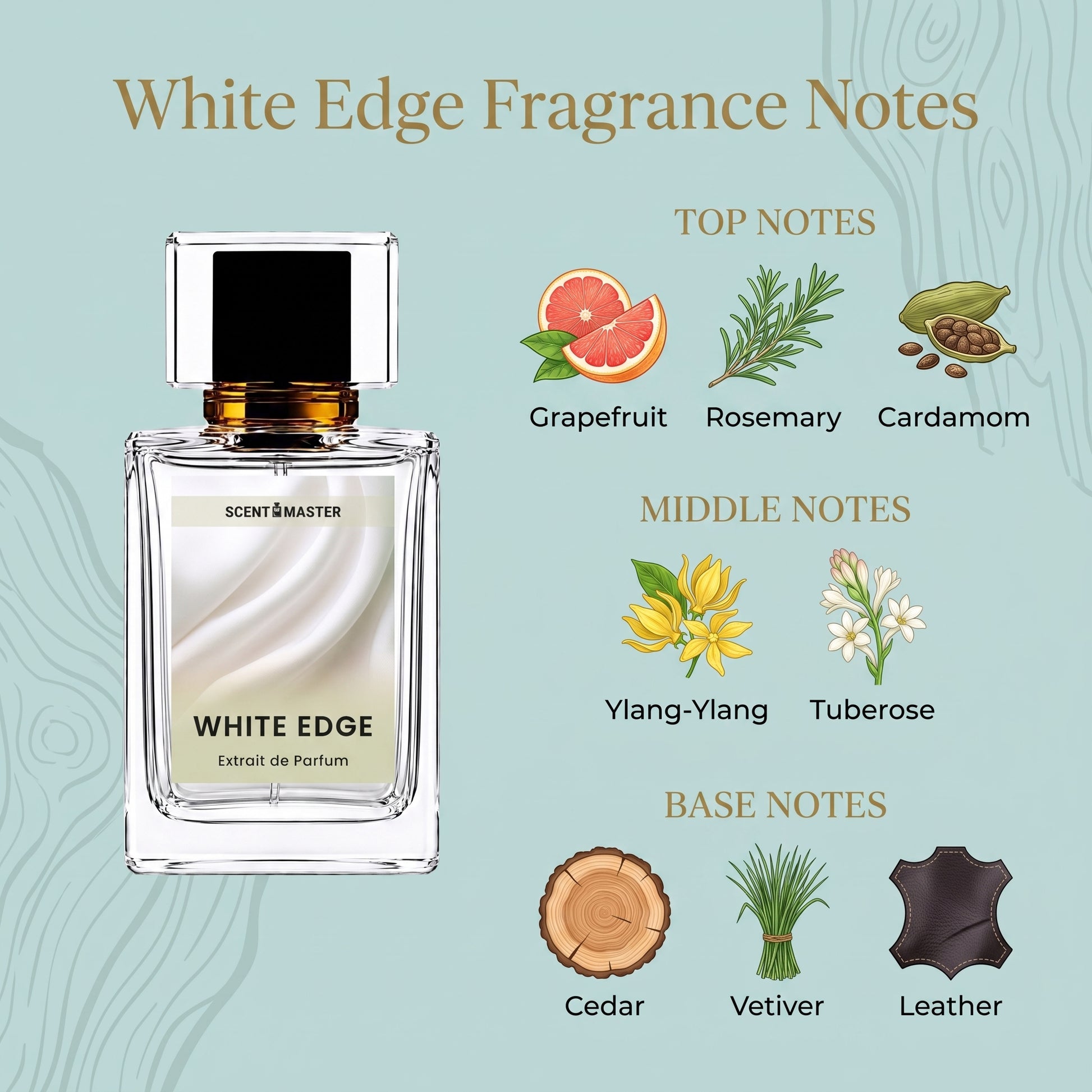 White Edge fragrance notes infographic showing top, middle, and base notes