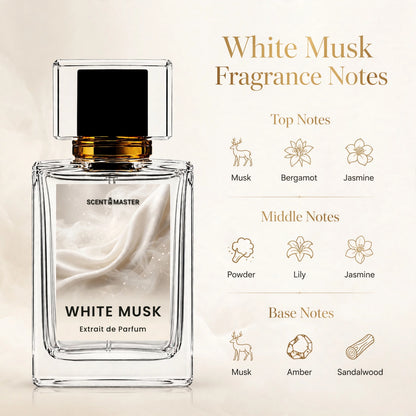 White Musk fragrance notes infographic showing top, middle, and base notes